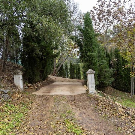 Molino De Gris Cazorla Villa Chilluevar Exterior foto